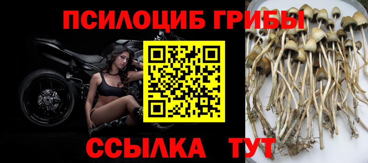 Псилоцибиновые грибы ЛСД  Псилоцибиновые грибы ЛСД  Вход с VPN  Вичуга 