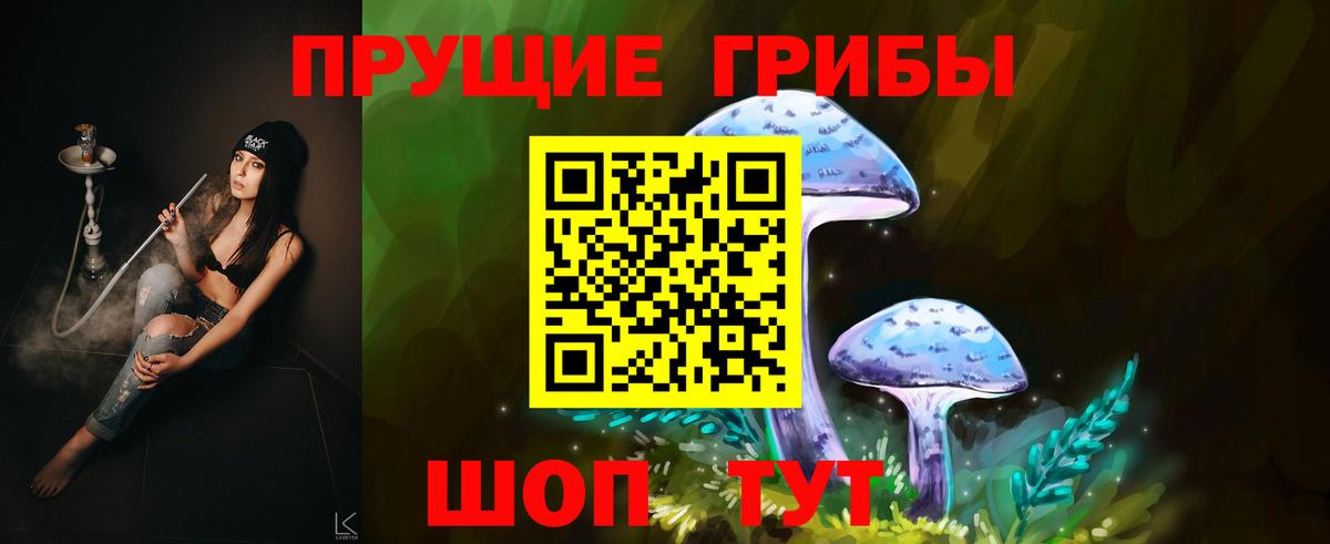 Псилоцибиновые грибы мицелий Вичуга